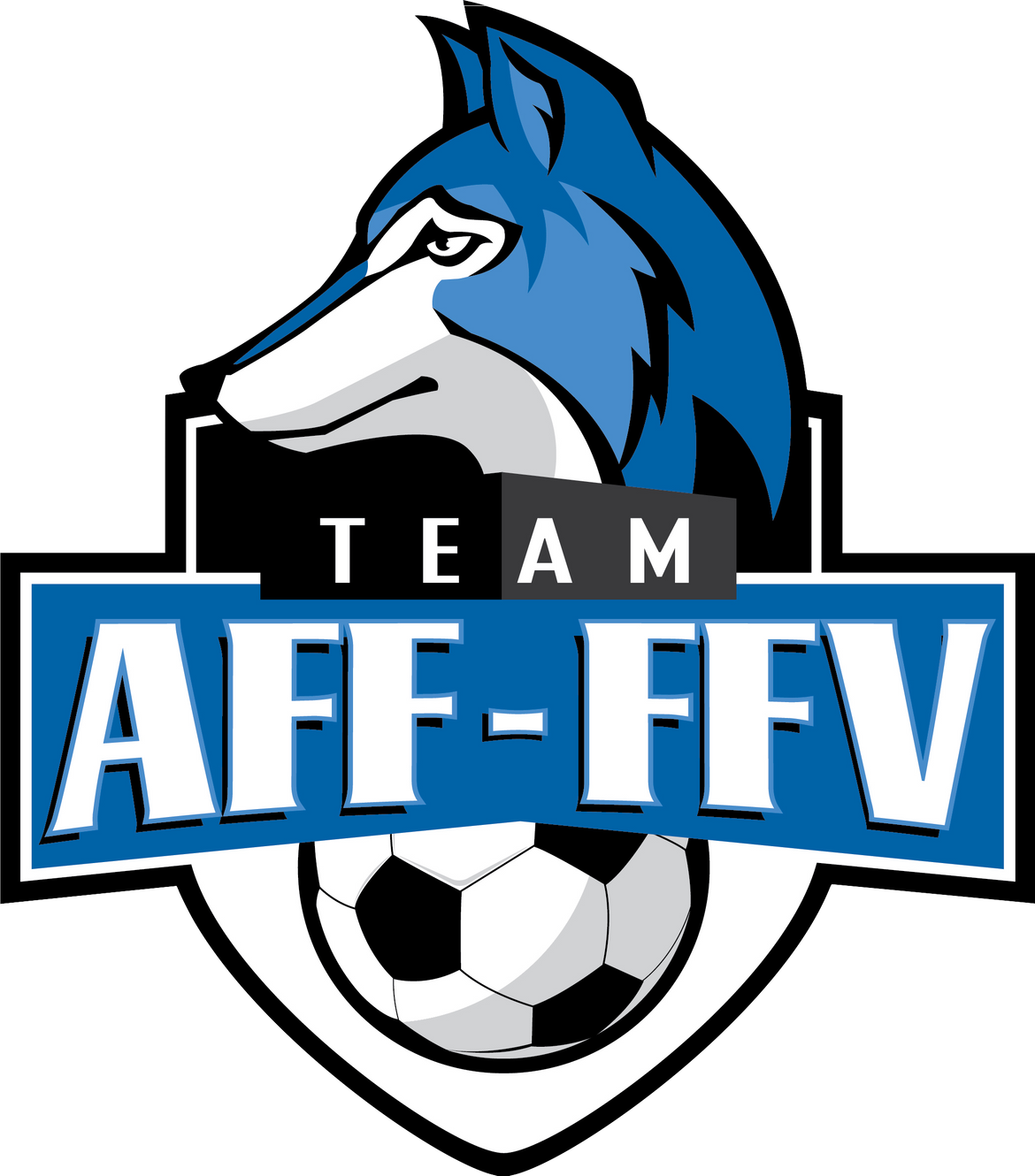 Team AFF-FFV logo